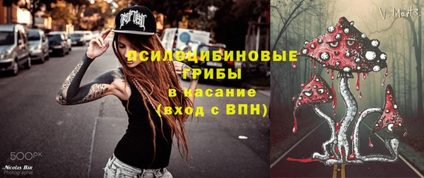 кристаллы Осинники