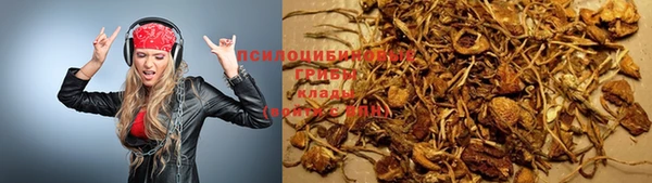 кристаллы Осинники