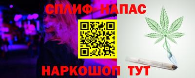 МДПВ Новокубанск
