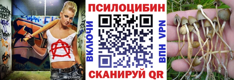 omg сайт  Холмск  Псилоцибиновые грибы мухоморы 